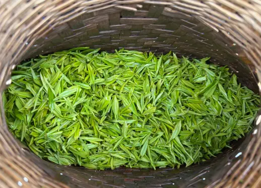 上海夜生活休闲指南：解锁网红地标与美食打卡的极致体验 🎉