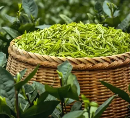 茶礼送什么好？这份讲究清单让你送礼不踩雷 🍵