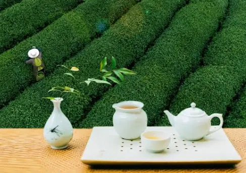 南翔老街双塔打卡-嘉定北城墙自驾交友-美兰湖宝山罗店周边游，这条宝藏路线藏不住了🚗